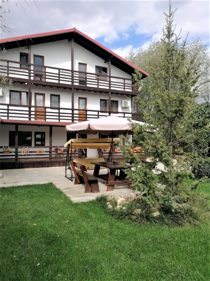 Casa Carp Calarasi Hotel Eksteriør billede