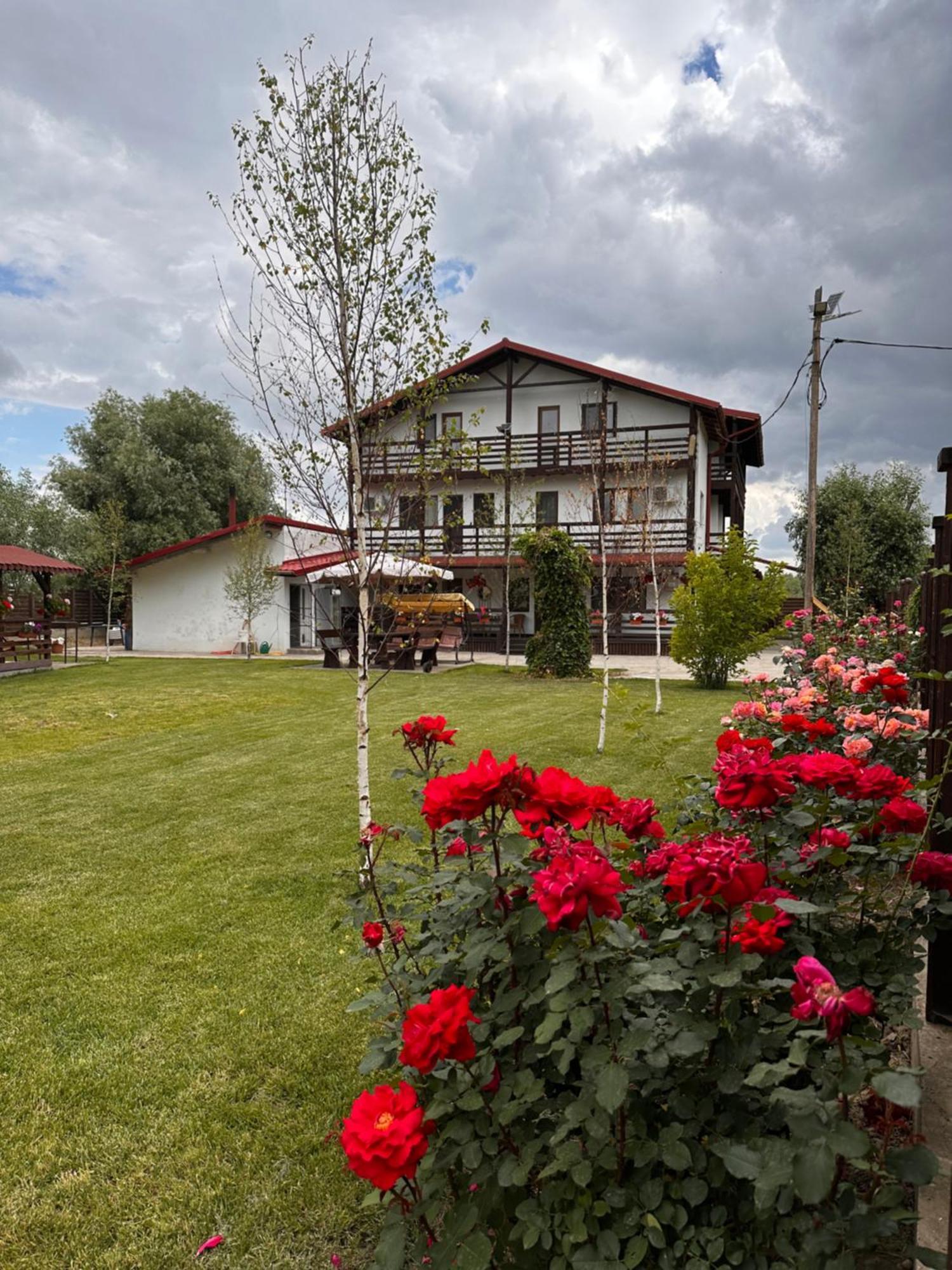 Casa Carp Calarasi Hotel Eksteriør billede